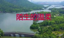 龙岩最新爆料新闻视频,视频揭露惊人内幕，事件真相令人震惊！