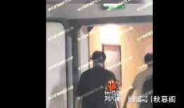 刘大锤爆料真的吗视频,刘大锤爆料视频真实性揭秘