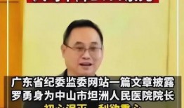 罗勇网友爆料视频大全,揭秘网络热点背后的真相