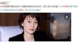 李玫家保姆爆料了吗视频,视频爆料真相大白
