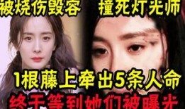 披哥现场爆料视频在线观看,揭秘节目幕后精彩瞬间