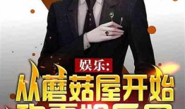 娱乐圈爆料小说推荐完结,星光璀璨，幕后风云