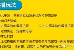 圣诞节热点爆料新闻,揭秘节日热点新闻背后的故事