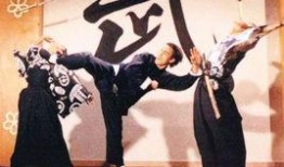 电影京武大侠在线观看,江湖风云再起——重温经典武侠传奇