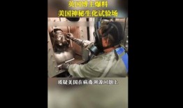英国病毒爆料视频播放,揭秘病毒传播真相