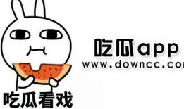 国产黑料吃瓜网免费观看,免费观看，揭秘娱乐圈幕后真相