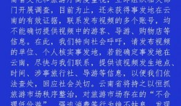 枣庄导游爆料视频最新,带你探秘古城背后的故事与风情