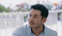 猪皮叔爆料黄晓明视频播放,猪皮叔揭露黄晓明视频播放背后真相