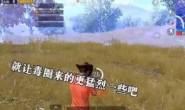 空城吃鸡爆料视频大全,揭秘游戏幕后精彩瞬间