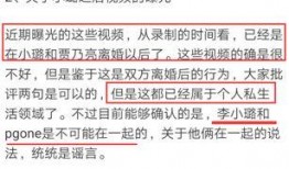 道德制高点视频爆料,视频爆料揭示社会现象背后的真相