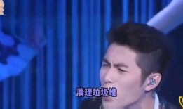 明星互相爆料黑历史视频,明星互爆黑历史，真相揭露引热议