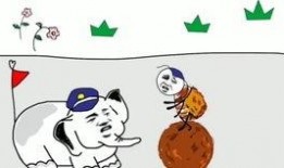 沙雕爆料小故事视频,揭秘视频背后的搞笑故事