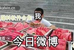 吃瓜爆料免费观看全集视频,免费观看全集视频，独家解析幕后真相