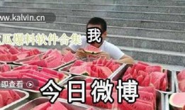 吃瓜爆料免费观看全集视频,免费观看全集视频，独家解析幕后真相