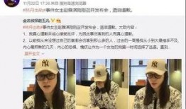 惠州离婚最新爆料新闻,夫妻矛盾升级，财产分割引关注