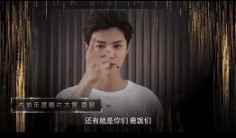 漂泊超哥爆料视频大全集,揭秘幕后真相与精彩瞬间