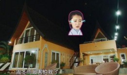 明星互相爆料黑历史视频,明星互爆黑历史，真相揭露引热议
