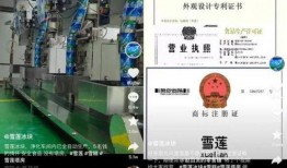 爆料雪莲视频在线观看,在线观看背后的秘密与精彩瞬间
