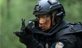 特警力量在线观看,紧张刺激的警匪对决，揭秘特警精英的英勇事迹