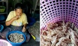 博主爆料鸡爪视频,鸡爪视频背后的惊人真相
