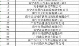 南宁新闻爆料记者名单,揭秘记者名单背后的故事