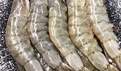 厄瓜多尔大虾爆料视频大全