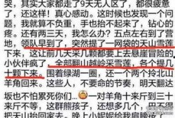 爆料雪莲视频在线观看,在线观看背后的秘密与精彩瞬间