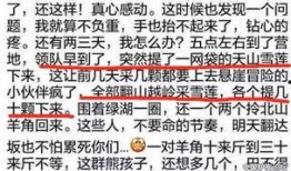 爆料雪莲视频在线观看,在线观看背后的秘密与精彩瞬间