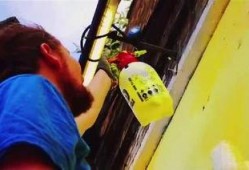 涂鸦小队最新爆料视频,揭秘神秘视频背后的惊人真相！