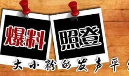 重庆爆料九龙坡新闻最新,最新爆料揭秘！