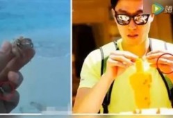 左手女友爆料结婚视频,幸福瞬间感动网友
