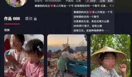 抖音最新事件爆料新闻,揭秘网络红人风波背后的真相