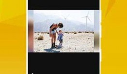 爆料黑科技飞哥视频下载,飞哥视频下载神器，轻松获取海量视频资源