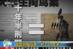 石城学生爆料斗气案件最新,校园暴力事件引发社会关注