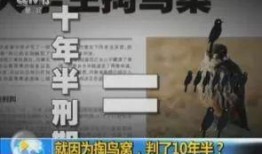 石城学生爆料斗气案件最新,校园暴力事件引发社会关注